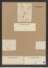 Asterolampra affinis Grev. (de-Toni-Nr.: Genus 235, Species 5678) Zeichnungen Sammlung Grunow Nr. 9665 (NHMW-BOT-W0379599)
